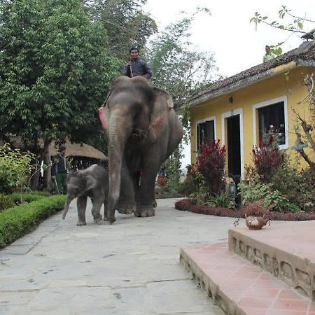 Hotel Sapana Village Lodge Chitwan Εξωτερικό φωτογραφία