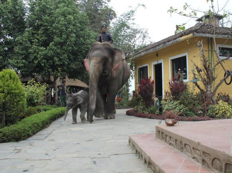 Hotel Sapana Village Lodge Chitwan Εξωτερικό φωτογραφία